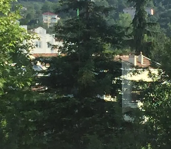 Apartment Safa Trabzon